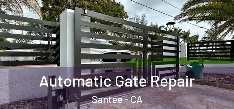  Automatic Gate Repair Santee - CA
