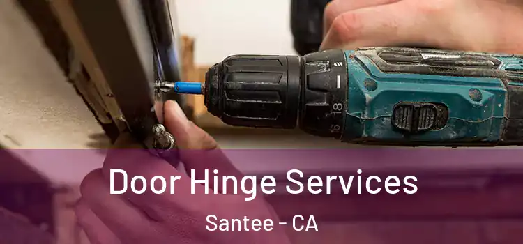 Door Hinge Services Santee - CA