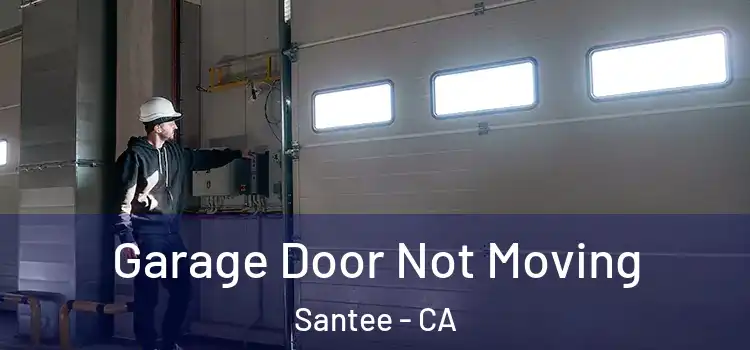  Garage Door Not Moving Santee - CA