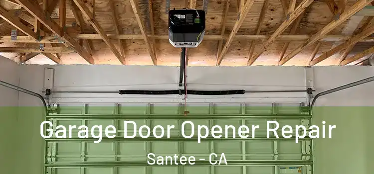  Garage Door Opener Repair Santee - CA