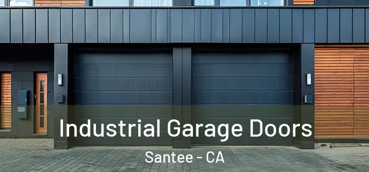  Industrial Garage Doors Santee - CA