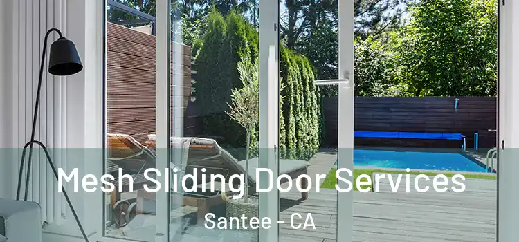 Mesh Sliding Door Services Santee - CA