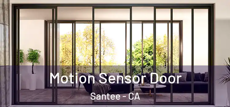 Motion Sensor Door Santee - CA