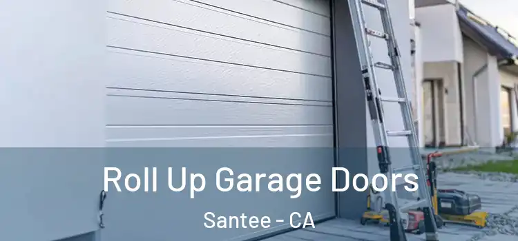  Roll Up Garage Doors Santee - CA