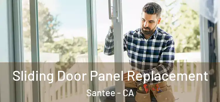 Sliding Door Panel Replacement Santee - CA