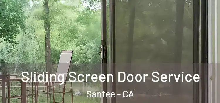  Sliding Screen Door Service Santee - CA